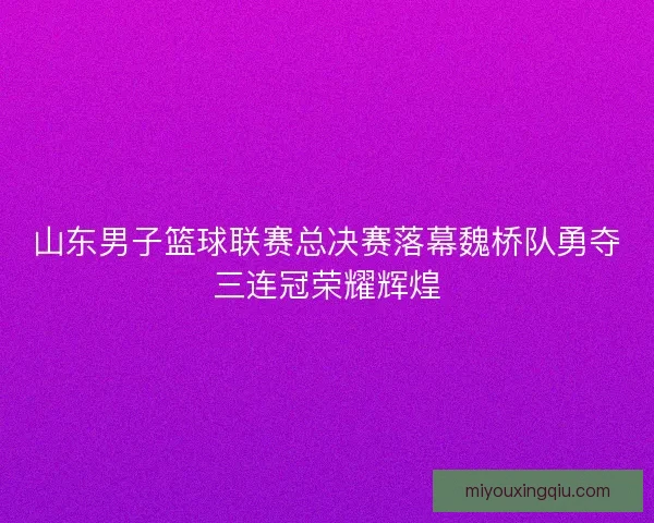山东男子篮球联赛总决赛落幕魏桥队勇夺三连冠荣耀辉煌 山东男子篮球联赛总决赛落幕魏桥队勇夺三连冠荣耀辉煌